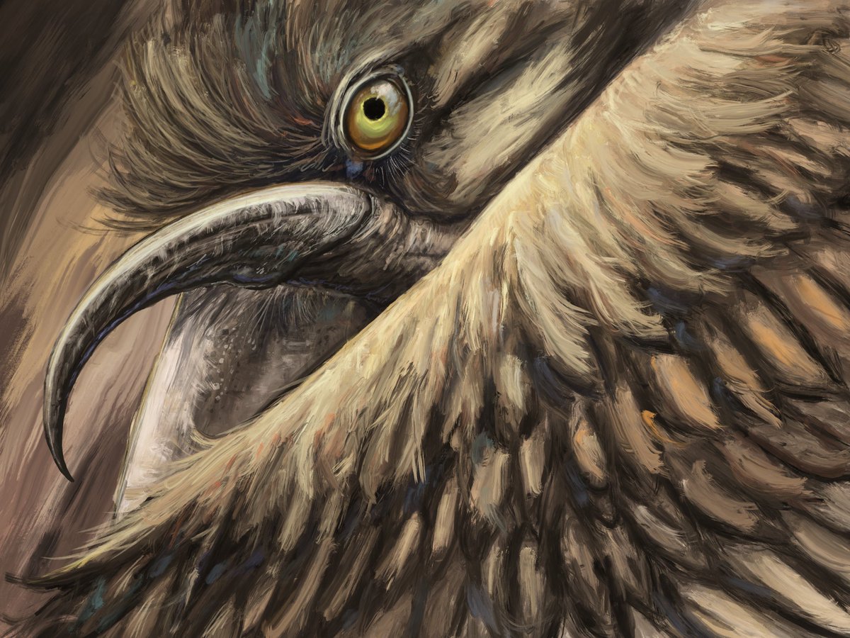 DTakeji's tweet image. “Claw of the desert”
Shri rapax
Some little oil brush test
#paleoart #dinosaur