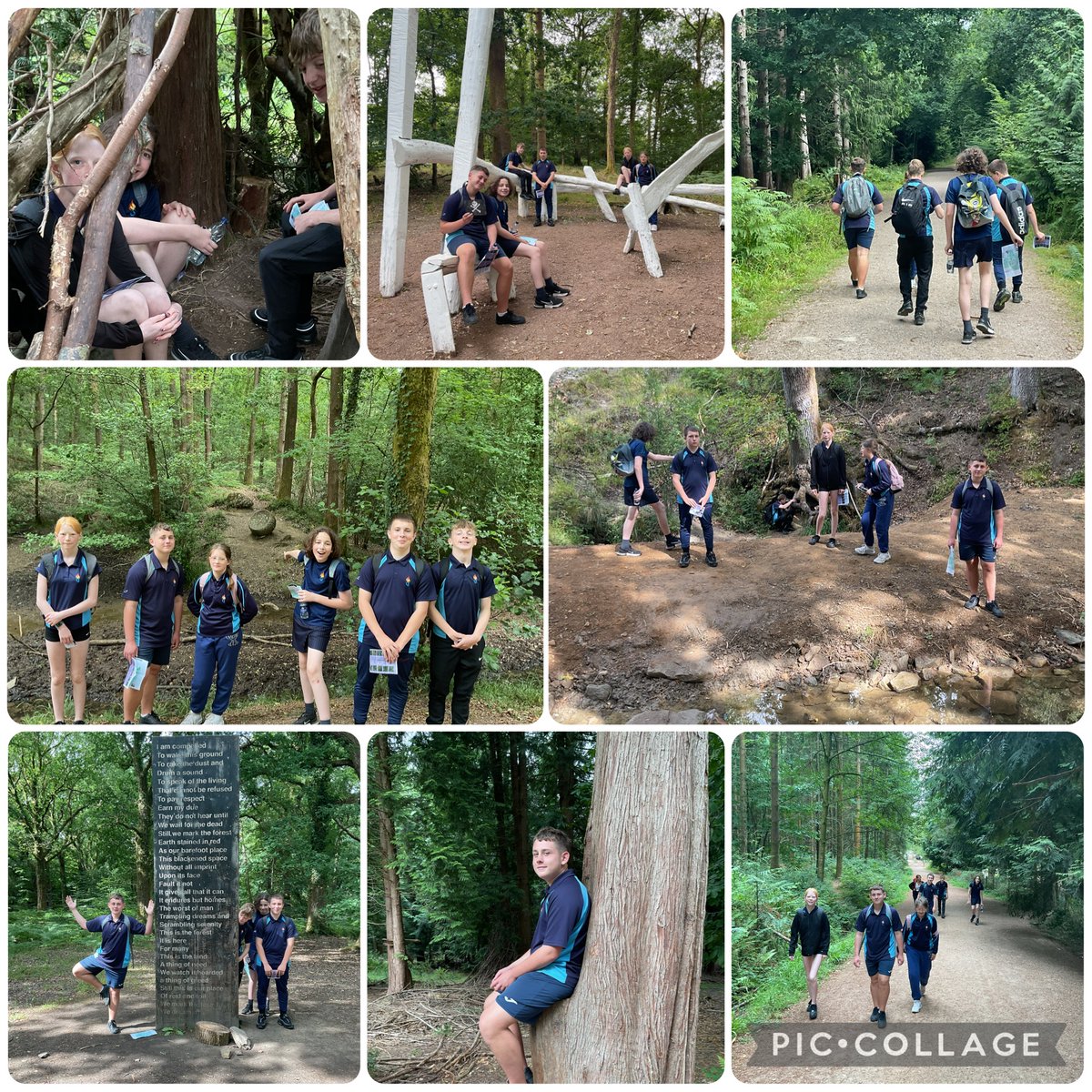 More Beechenhurst fun 😀☀️🌳🛝