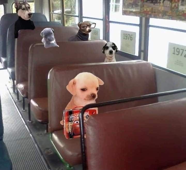 💖 (@twaniimals) on Twitter photo 