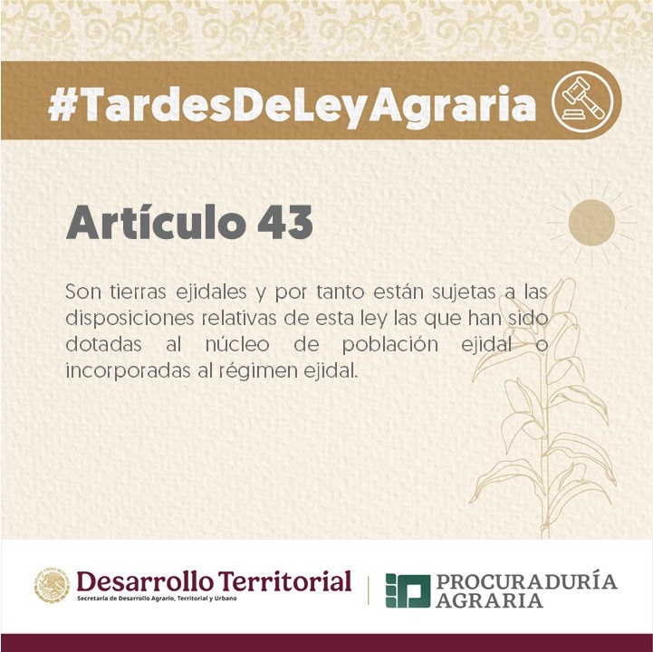 #TardesDeLeyAgraria ⚖️📜✅ 
#RecuerdaLeyAgraria 🌄 🌾 
#LeyAgrariaJusta 👩‍🌾🧑‍🌾