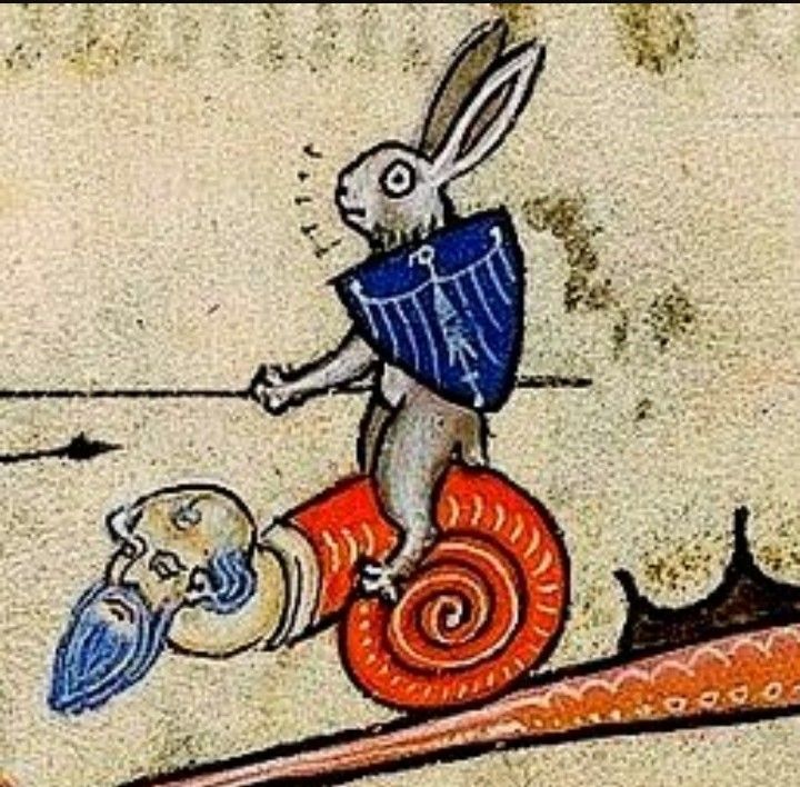 wie es sich anfühlt einen wissenschaftlichen text zu schreiben