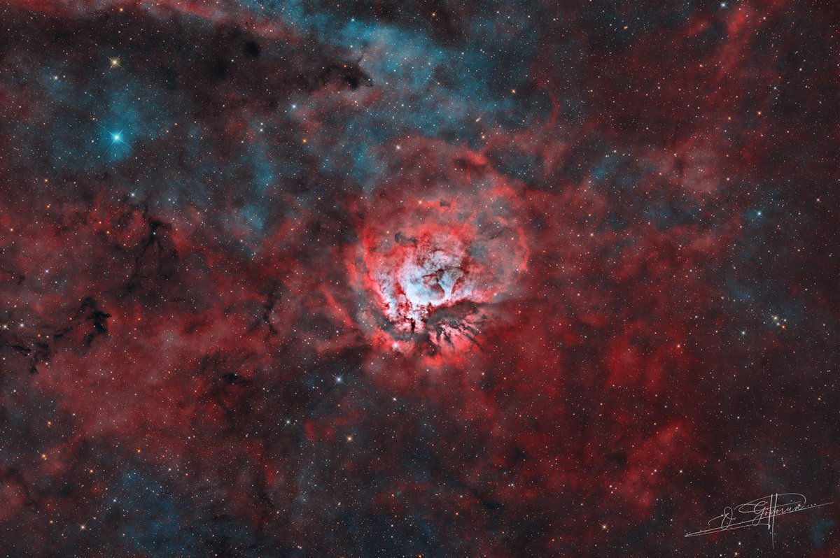 AstroBin_com's tweet image. Image of Sh2-112, shared on AstroBin by Oleksiy Govorun, who used a telescope from AstroBin sponsor @TeleskopService: TS-Optics 250mm/10" ONTC f/4 Newtonian (carbon tube)
More: astrobin.info/ts-optics
Image: astrobin.com/8s6i7r
Total integration: 74h 3′
Thanks for looking!
S.