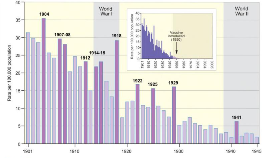 RBystrianyk's tweet image. We’re told vaccines and antibiotics saved us from deadly infectious diseases. But what if measles, TB, scarlet fever, and whooping cough were already in steep decline before those tools arrived?
In reality, deaths hit zero or near zero before vaccines or antibiotics were even…