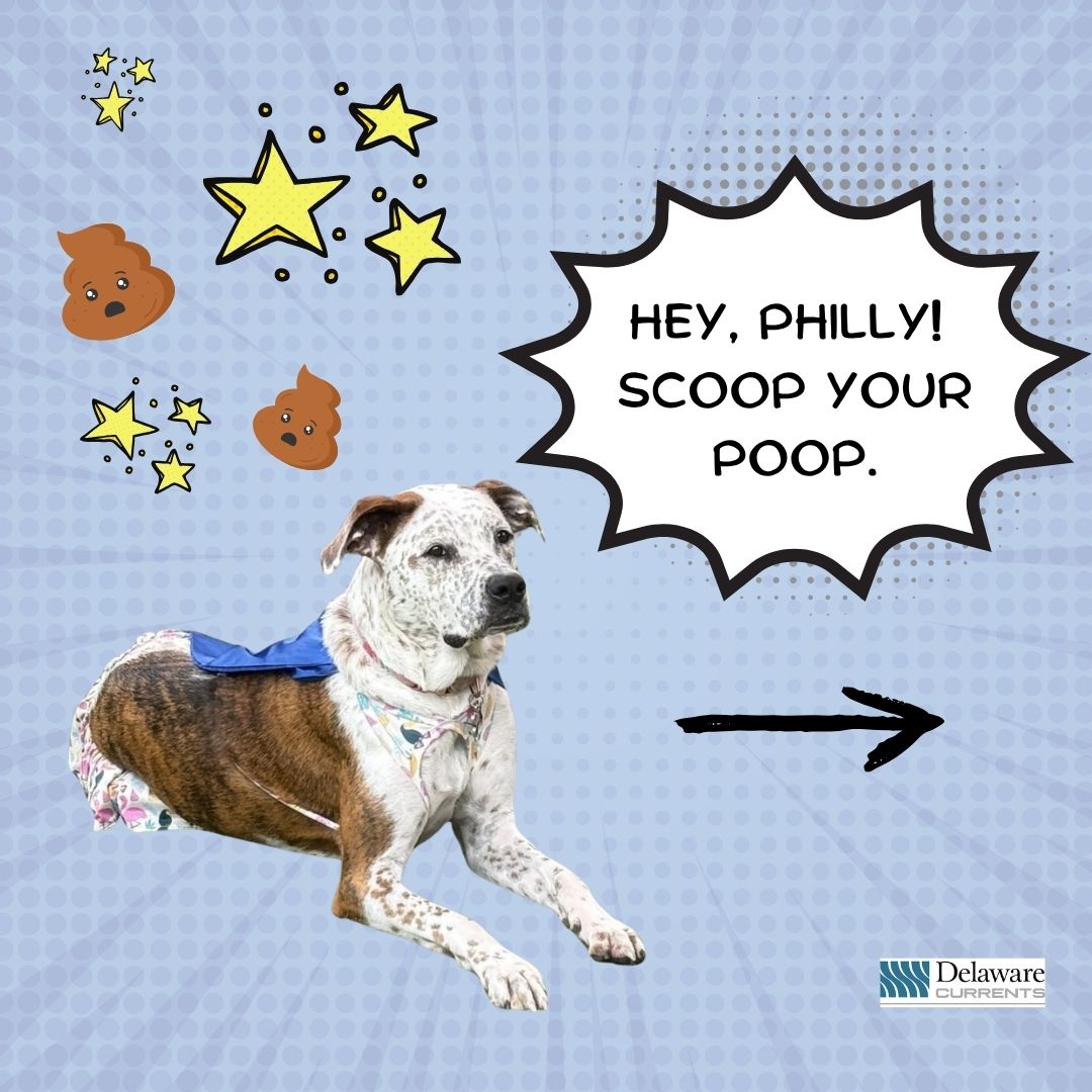 One way to stop poo-lution? Scoop your dog's poop! 💩 Willow, a one-year-old pup is Philadelphia's newest "spokesdog" educating residents on the effects of improperly discarded dog waste.

delawarecurrents.org/2025/06/09/dog…
