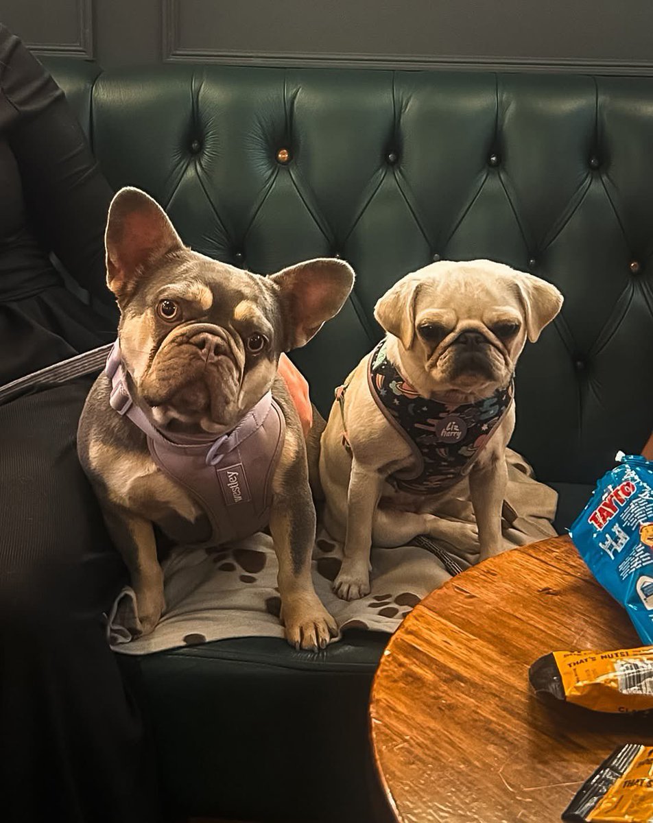 We’ve got England vs Sweden Women live on our screens at 8pm this evening 🏴󠁧󠁢󠁥󠁮󠁧󠁿 plus live music to look forward too! 🍻

It’s still warm out, join us here on Bexley Square for a few drinks over the next few days! 🍺🏛️🌳