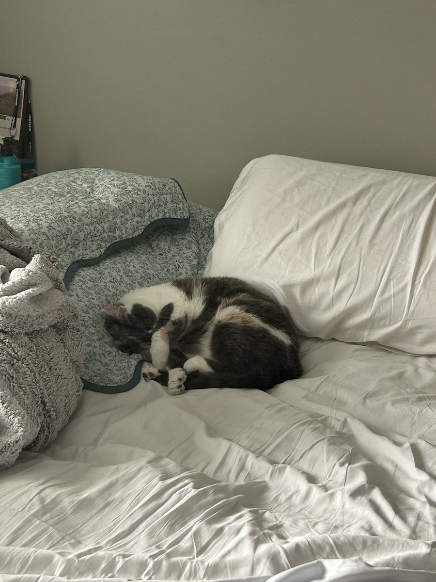 LilyCGuiney's tweet image. “I asked chatgpt” “I asked grok” well I asked sneeze and she covered her eyes to avoid seeing me