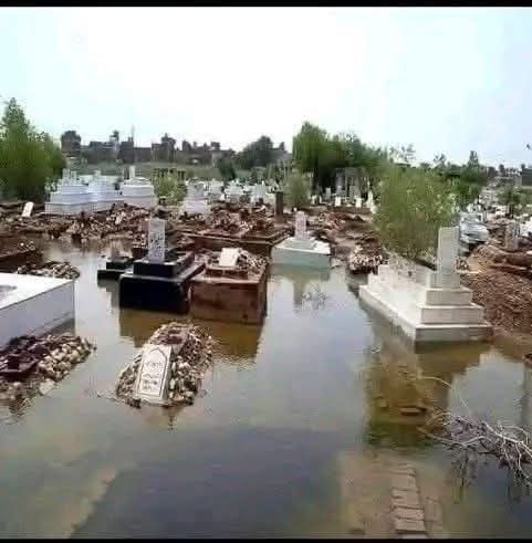 یہ پڑے ہیں ہمارے خواب،
کامیابیاں، ناکامیاں،
 انا، غرور، اکڑ،
 ناراضگیاں، جھگڑے، فساد، مقابلے، حاصل اور لاحاصل
سب ایک چھت تلے
#اردو_زبان