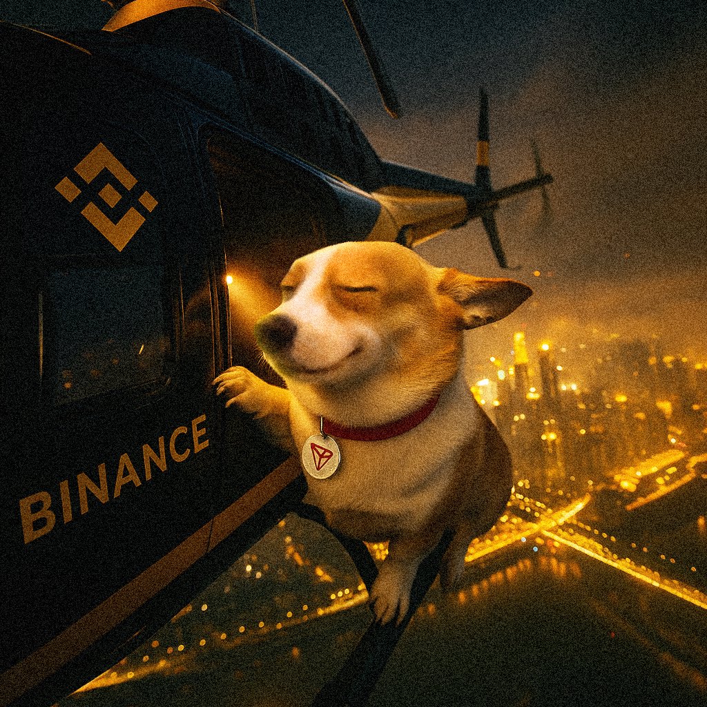 SunDog 🐾 tweet media