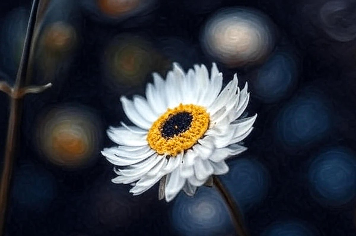 zajaczeknowe's tweet image. Miłego wieczoru 😊👋
#Darkedition