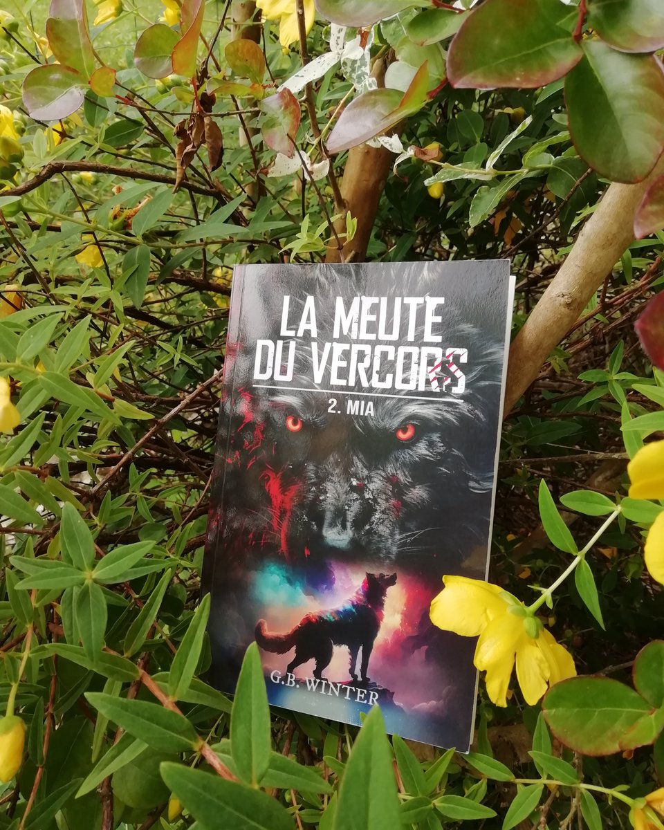 🐺Vexée, dans un éclat de magie, Mia se transforma en louve et sur ses quatre pattes, le dos courbé, grogna auprès du mec canon qui lui montrait ses crocs. La louve en rogne n'appréciait pas l'attitude de Rajah qu'elle trouvait détestable. 🐺😍