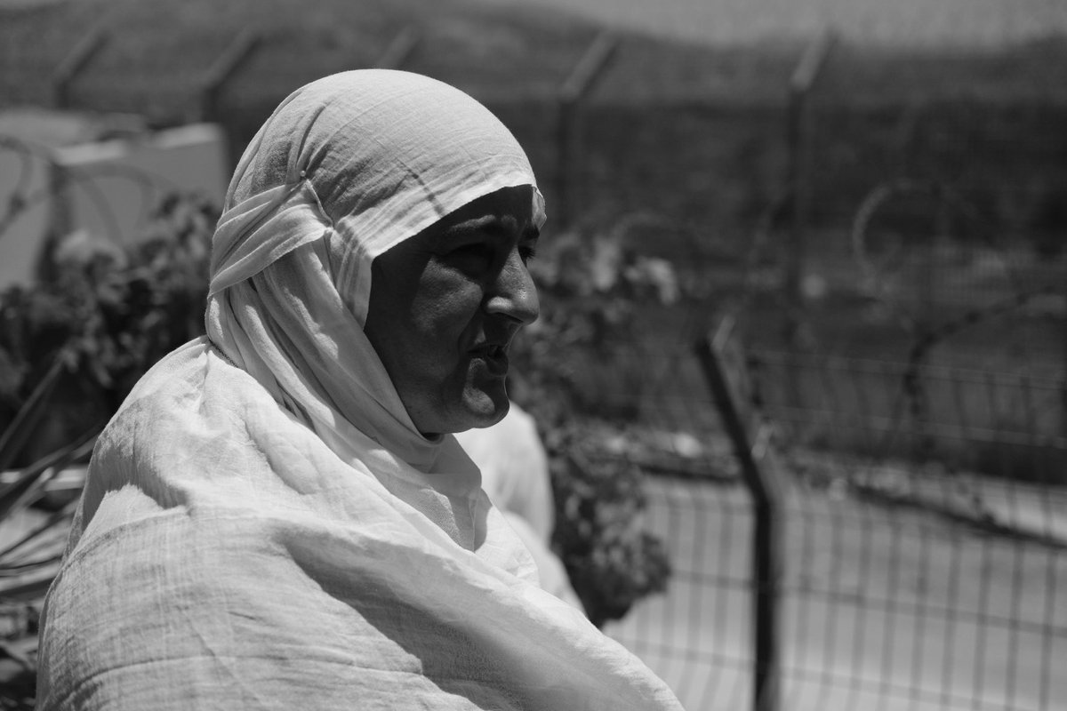 Experience Humans tweet media