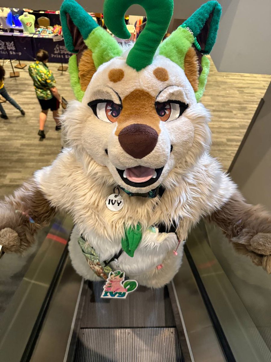 Ivy Leafeon tweet media