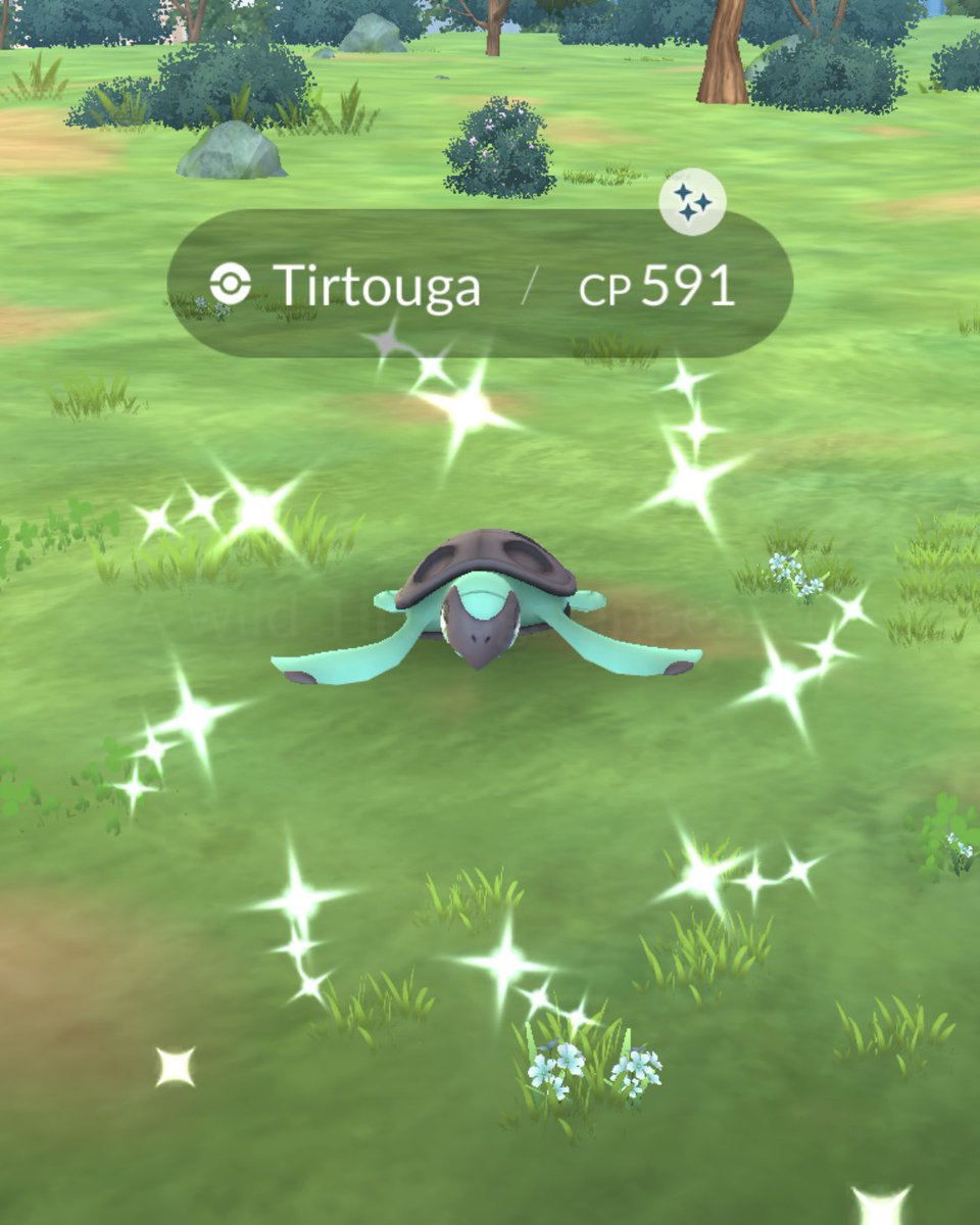 tommiplaysgames's tweet photo. Fin, noggin’, duuuude 🐢✨
#PokemonGO #ShinyPokemon #Tirtouga https://t.co/LdGmyMhJyr