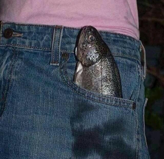 Una polla pago 15 céntimos por la bolsa de la pescadería