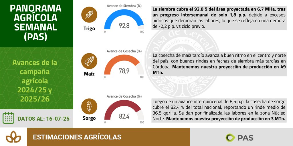 🌱🌽🌻 Compartimos los avances a la fecha de la campaña agrícola 2024/25 y 2025/26. 
Seguí el estado de los 6 principales cultivos en el dashboad de datos PAS y ECC 📊 👉🏼 bolsadecereales.com/estimaciones-i….
📃 Descargá la síntesis del informe: bit.ly/4lBUDoo