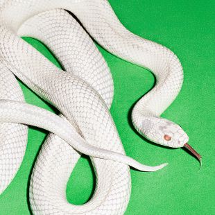 mruston's tweet image. Deftones always has some of my favourite album art.  upload.wikimedia.org/wikipedia/en/0…