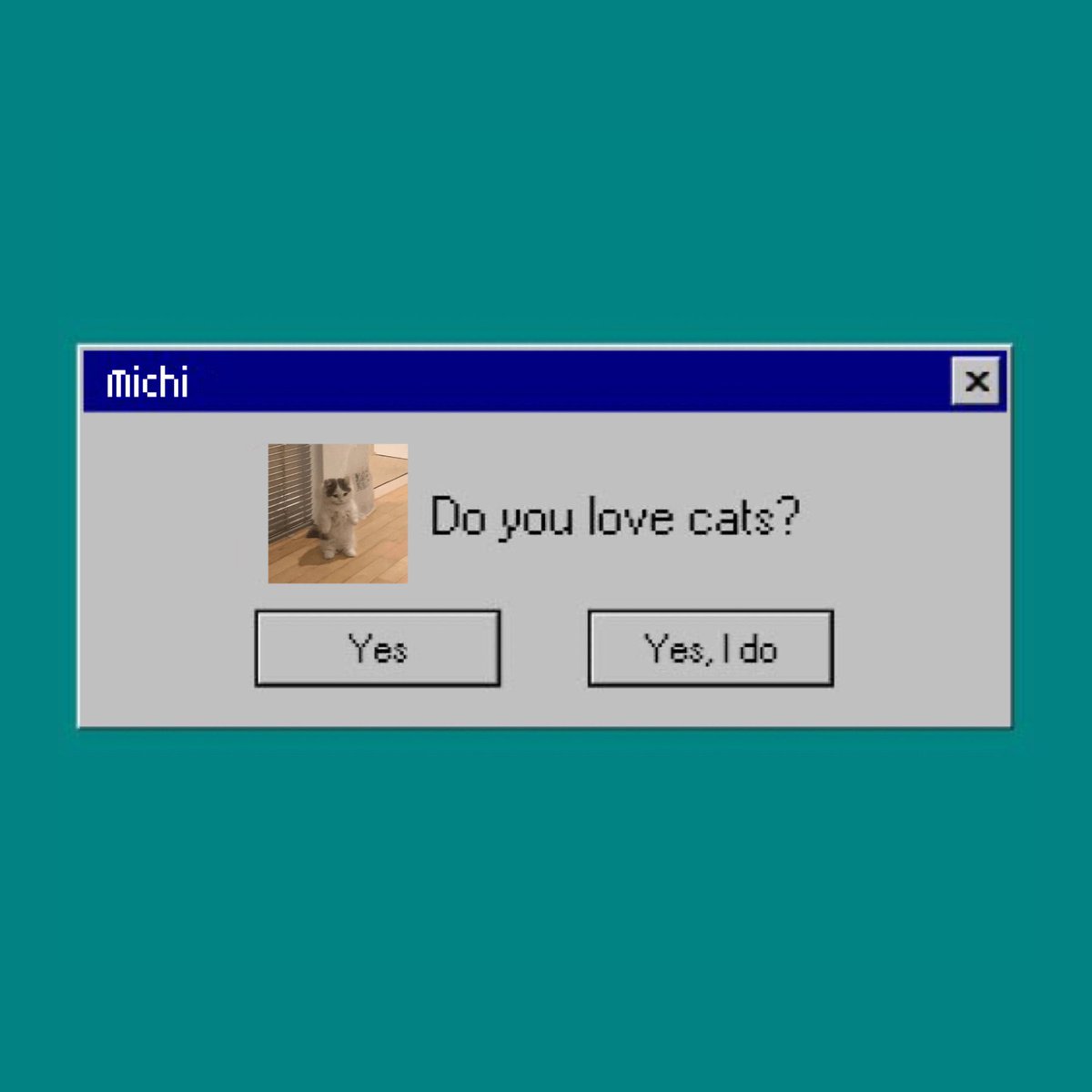 Do you love cats ？