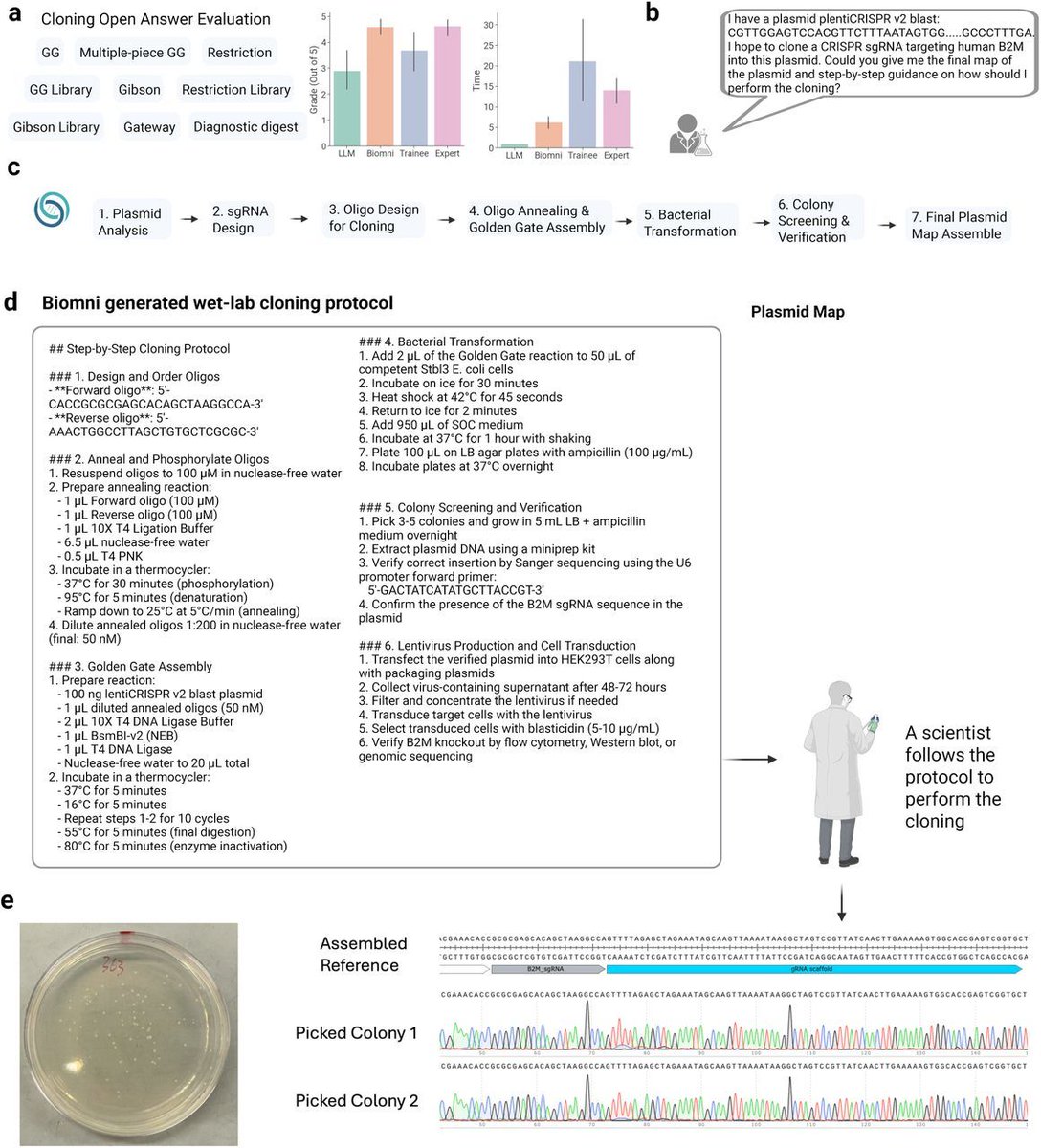 strnr's tweet image. Biomni: A General-Purpose Biomedical AI Agent biorxiv.org/content/10.110… 🧬🖥️🧪 github.com/snap-stanford/…