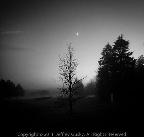 hiddenwwi's tweet image. Winter sunset on Verdun Battlefield
#ww1 #blackandwhitephotography