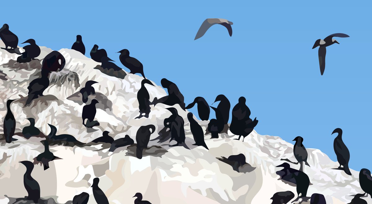 Califormetry's tweet image. "BIRD ROCK" (2024)
vector hyperrealism
full artwork: extreme detail: