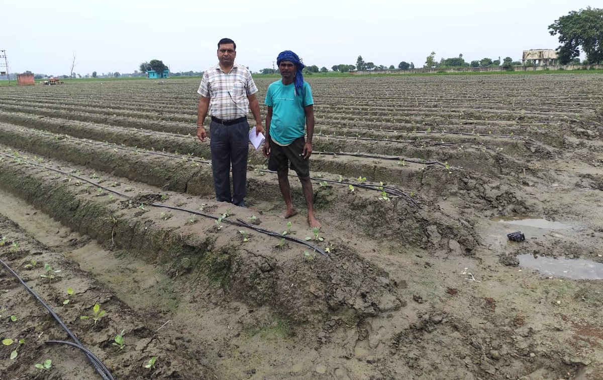 dpmukarnal's tweet photo. अटल भूजल करनाल द्वारा ग्राम पंचायत मुस्तफाबाद में किसान ने सूक्ष्म सिंचाई पद्दति को अपनाकर सब्जी की खेती की जा रही हैं।#ataljal https://t.co/j6BkeobjCU