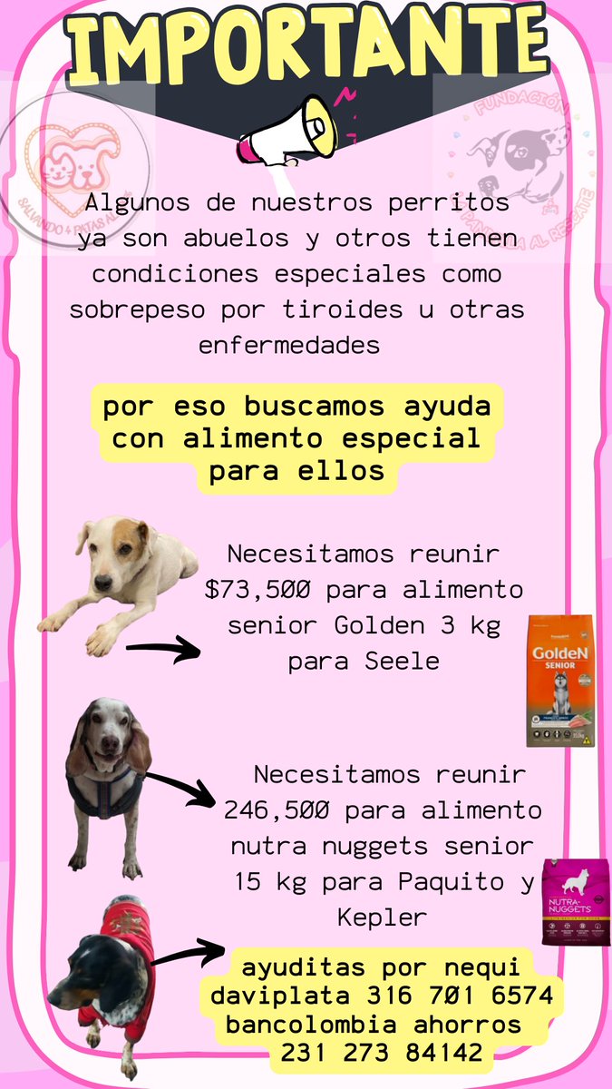 SALVANDO4patasAL100% 🐾 (@salvando4al1oo) on Twitter photo Querida familia, buenas Tardes 🤝
Hoy el llamado de apoyo es para el alimento para los abuelos 🐶🐶.
Si alguien desea apadrinar puede hacer el aporte directo al proveedor de alimento y nosotros reclamamos. O como siempre dejamos nuestros números de Nequi (+) <a href="/Marce_Tabares/">Marce Tabares 🐶</a> Querida familia, buenas Tardes 🤝
Hoy el llamado de apoyo es para el alimento para los abuelos 🐶🐶.
Si alguien desea apadrinar puede hacer el aporte directo al proveedor de alimento y nosotros reclamamos. O como siempre dejamos nuestros números de Nequi (+) <a href="/Marce_Tabares/">Marce Tabares 🐶</a>