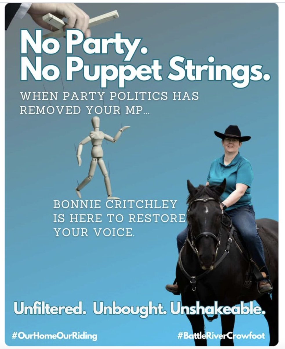 Not a puppet to corporate greed
Not a puppet for any party. #votebonniecritchley 
bonniecritchleyindependent.com/platform
