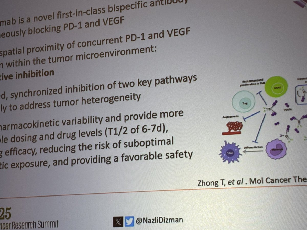 MosheOrnsteinMD's tweet image. Great line up for trials in progress kicked off by @NazliDizman on ivonescimab (bispecific anti PD-1 and VEGF) in RCC @kidneycan #KCRS25