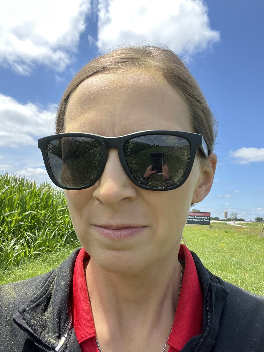 mjanders1's tweet image. Just call me fully pollinated today… notice the yellow hue?! #ISUCrops