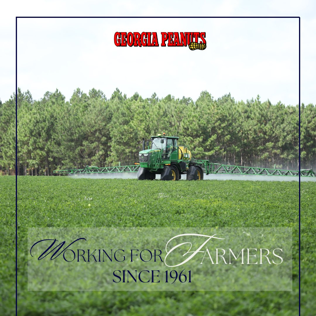 From planting to harvest, we’re here every step of the way. 🥜 

Proudly Working for Farmers Since 1961.

 #GaPeanuts #PeanutFarming #SupportFarmers