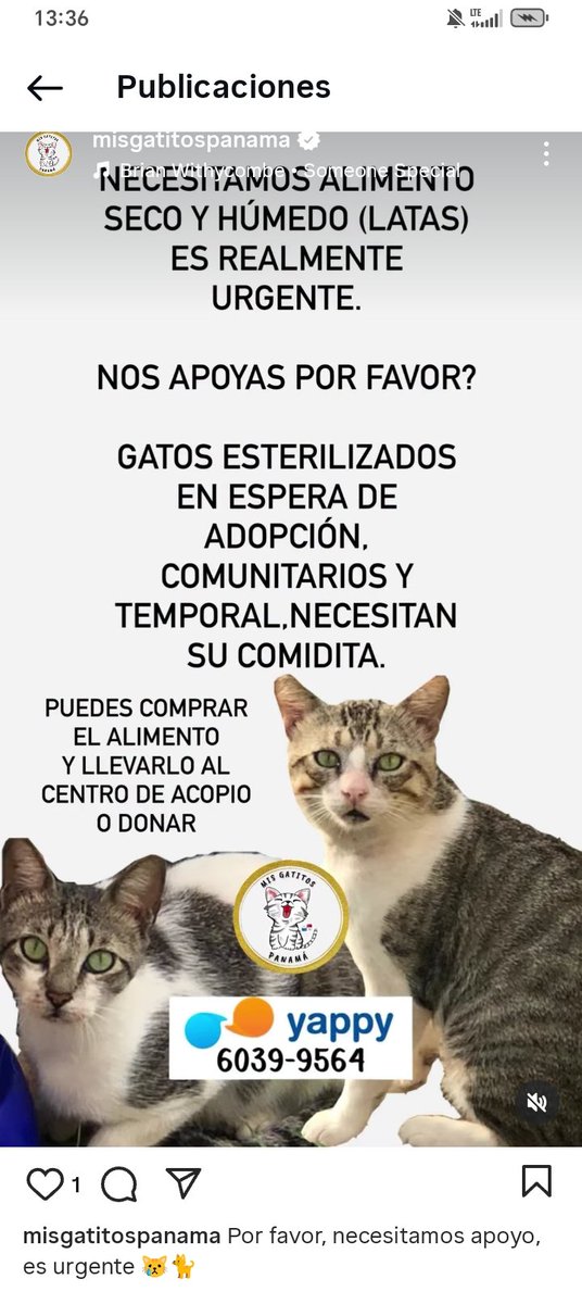 <a href="/sarat1165/">Sara Rugliancich</a> <a href="/SeferinaMelgar/">Seferina Melgar</a> <a href="/edithfirst22/">Mélida 🌺🐾💐</a> <a href="/dayra_icaza/">dayra icaza</a> <a href="/heramito/">Yira Lopez De Leon</a> <a href="/ivetteodalys/">Ivette Berrio</a> <a href="/LP19732/">LP1973</a> <a href="/PatasyPies/">Patas y Pies</a> <a href="/PatasPanama/">Patas Panama</a>