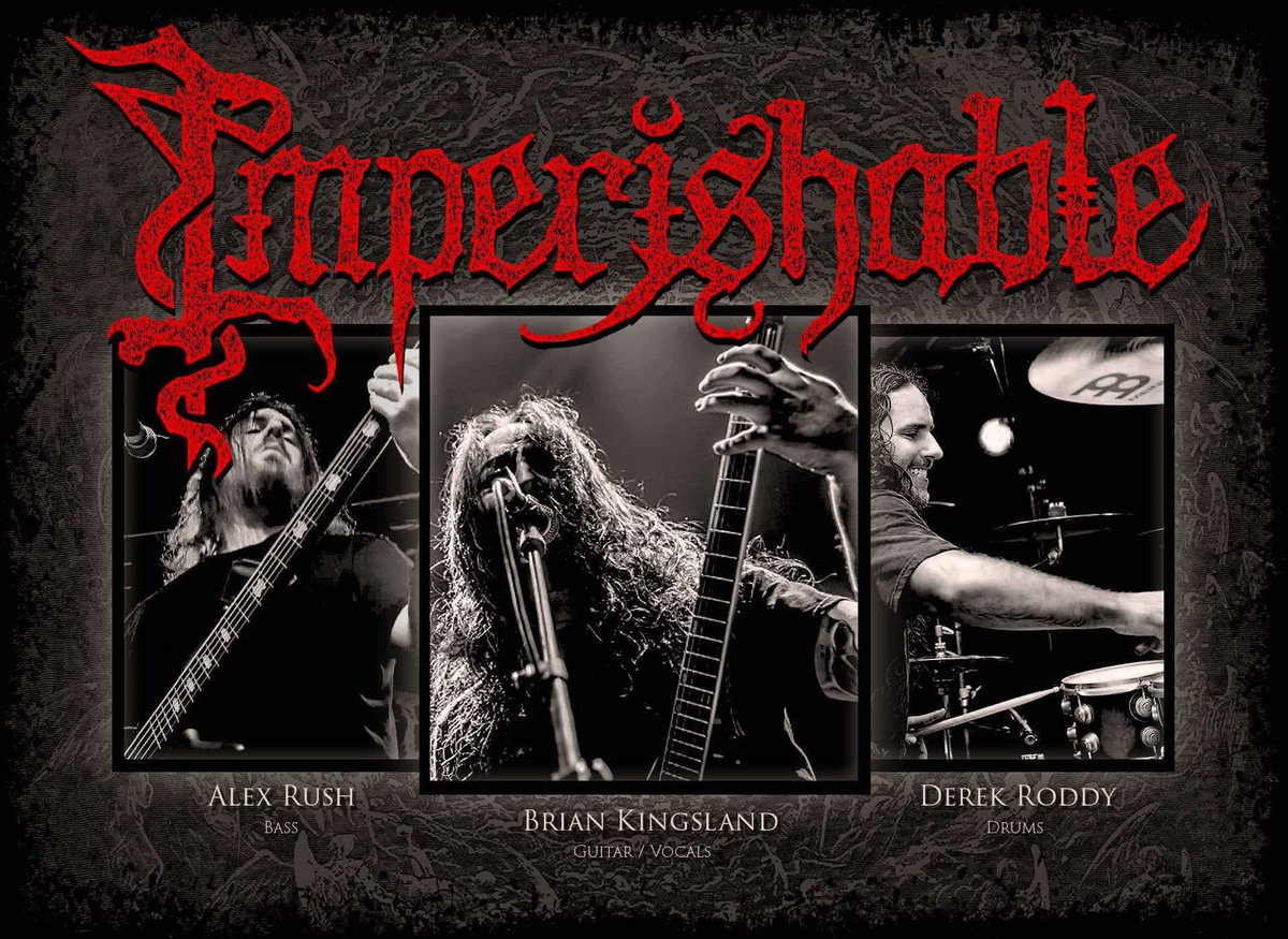 TitoVespasiani's tweet image. Another new Imperishable track, look at that line up! This track has HUGE Hate Eternal's "King of all Kings" vibes!
m.youtube.com/watch?v=tLvIf3…