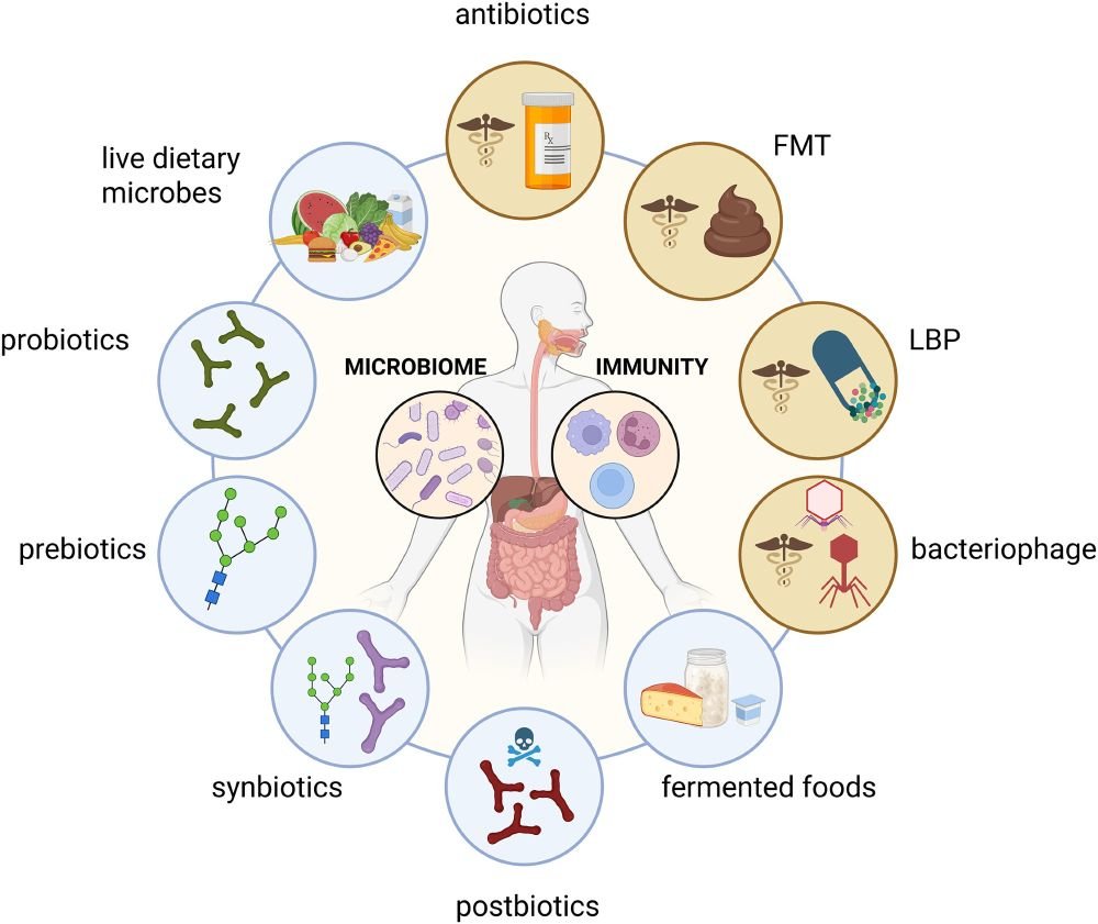 cellhostmicrobe's tweet image. Collection: Bugs as Drugs.
Enjoy our collection of recent reviews and articles exploring the impact of microbes on therapeutic efficacy as well as advancing capabilities to utilize microbes as therapeutics or in microbiome modulation
cell.com/cell-host-micr…