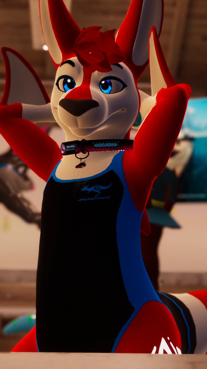 Let's go for a swim with the orca~