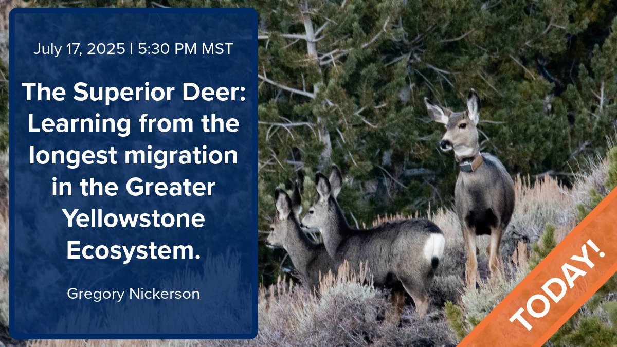 UW-NPS Research tweet media