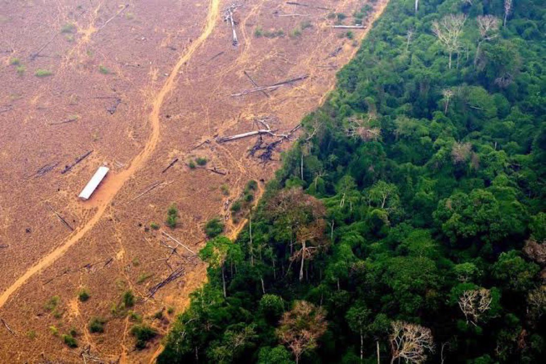 AcessoErikaH's tweet image. O Brasil se orgulha da sua biodiversidade, dos povos indígenas e ribeirinhos.
Mas o CONGRESSO DA DEVASTAÇÃO insiste em aprovar projetos que rasgam conquistas ambientais históricas.
VETA LULA!