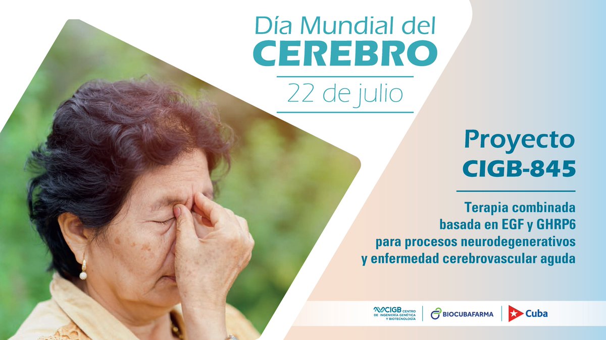 CIGBCuba's tweet image. #DíaMundialDelCerebro
El @CIGBCuba trabaja en el proyecto CIGB-845: candidato terapéutico basado en la coadministración de EGF y GHRP6 para tratar procesos neurodegenerativos y enfermedad cerebrovascular aguda. Responde a necesidades en el área de neurología clínica no cubiertas.