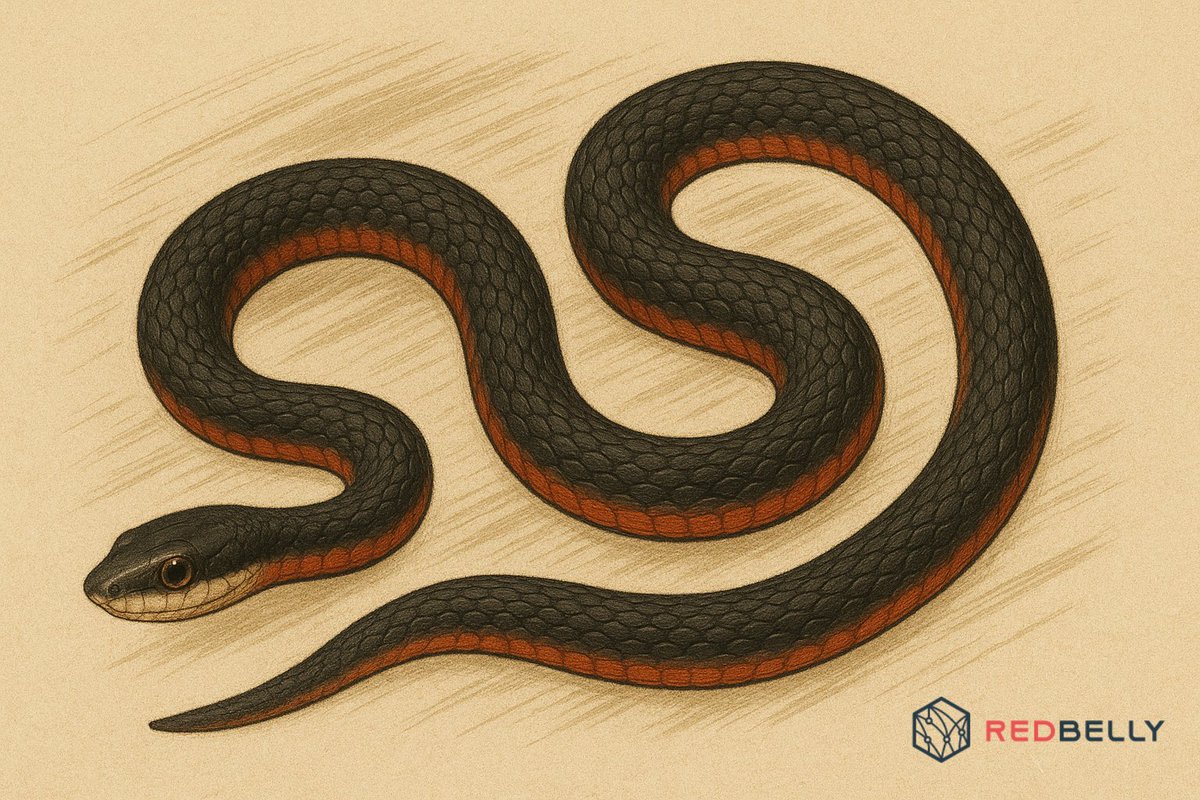 1/ THE FASTEST BLOCKCHAIN IN THE WORLD

<a href="/RedbellyNetwork/">Redbelly Network</a> isn’t just another blockchain; it’s a tech breakthrough. No forks. Massive throughput. Global scale.

Let’s dive into what makes Redbelly so insanely fast… 🧵👇