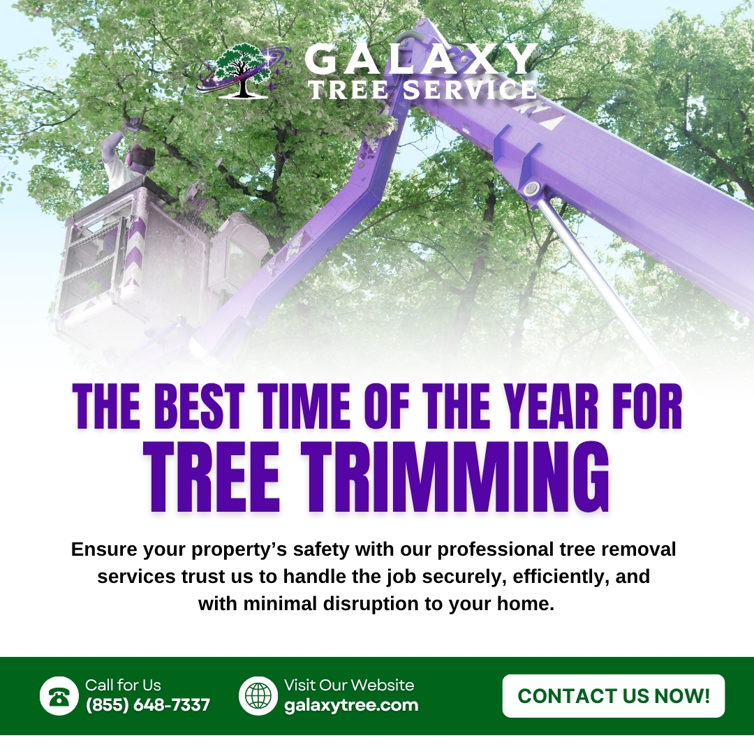 galaxytreemi's tweet image. 🌿 It’s Trimming Time! 🌿

Summer is the perfect season to get your trees in shape! Our expert crew handles every trim with precision and care!

📞 Call (855) 648-7337 or visit galaxytree.com to book your appointment today!

#TreeTrimming #TreeCareExperts #SummerTreeCare