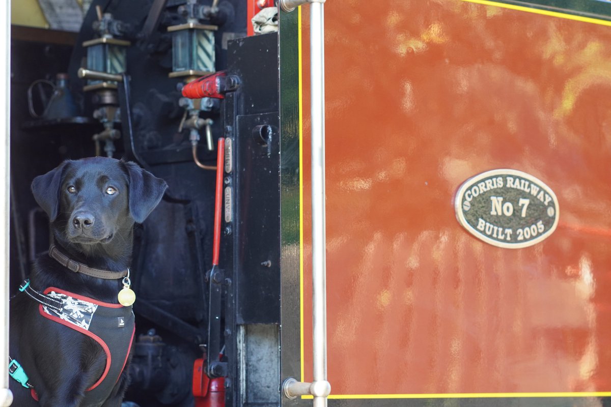 The Corris Railway tweet media