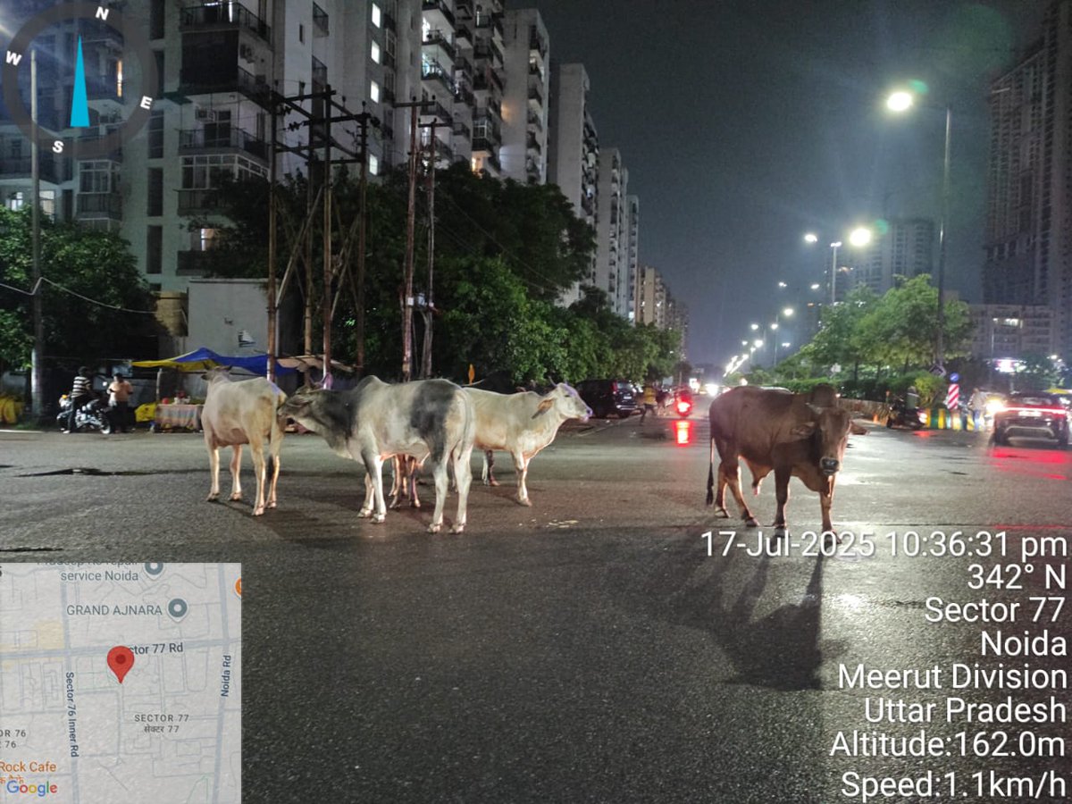 नोएडा में डॉग पार्क तो बन गया हमारे लिए एक नंदी पार्क बन जाए तो मेहरबानी होगी,(नंदी महाराज)
<a href="/NandiGuptaBJP/">Nand Gopal Gupta 'Nandi'</a> <a href="/aksharmaBharat/">A K Sharma</a> @ChiefSecy_UP <a href="/brajeshpathakup/">Brajesh Pathak</a> <a href="/myogiadityanath/">Yogi Adityanath</a> <a href="/UPGovt/">Government of UP</a> <a href="/noida_authority/">NOIDA Authority</a> <a href="/CeoNoida/">CEO, NOIDA Authority</a> <a href="/rashtrapatibhvn/">President of India</a> <a href="/lalclicks/">lal singh</a> <a href="/rockme26/">Mango Man *Amiit Gupta*</a>