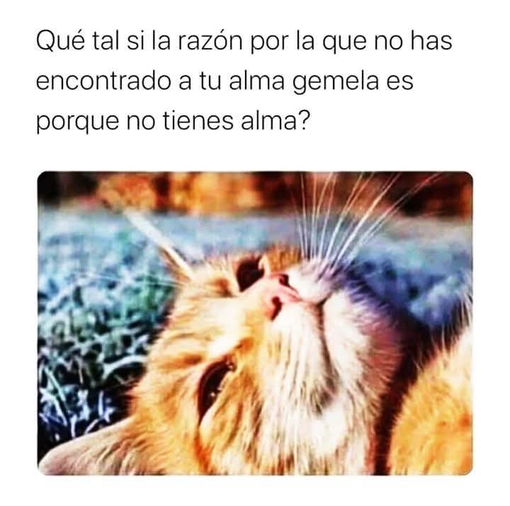 bruja_pititis's tweet photo. #NoTengo https://t.co/qskBP25MEQ