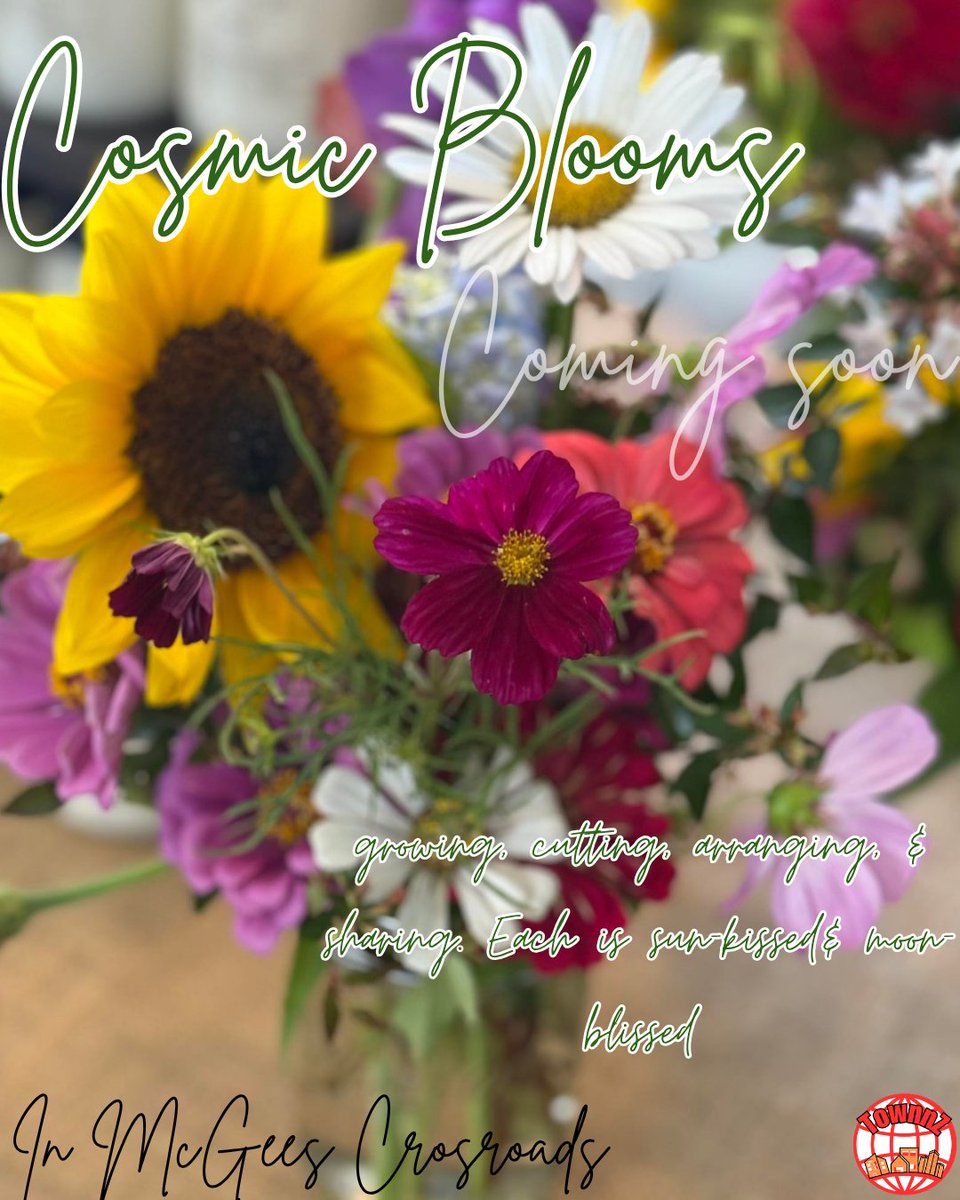 TownnZNC's tweet image. Coming Soon to Townnz from McGee's Crossroads is Cosmic Blooms! They specialize in Floral Arrangements with incredible customer service and work to satisfy your needs! Check them out in your town today!
#townnz #townnznc #cosmicbloom #floral #fyp #flowers #pretty