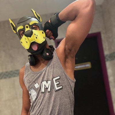 marvelous_pup's tweet photo. #NewProfilePic #NewPupName #goodboy #goodboychallenge #yellowpup #gympup #musclepup #pupplay #kink #kinkcommunity #pupsofx #marvelnerd https://t.co/3RE64BAJEl