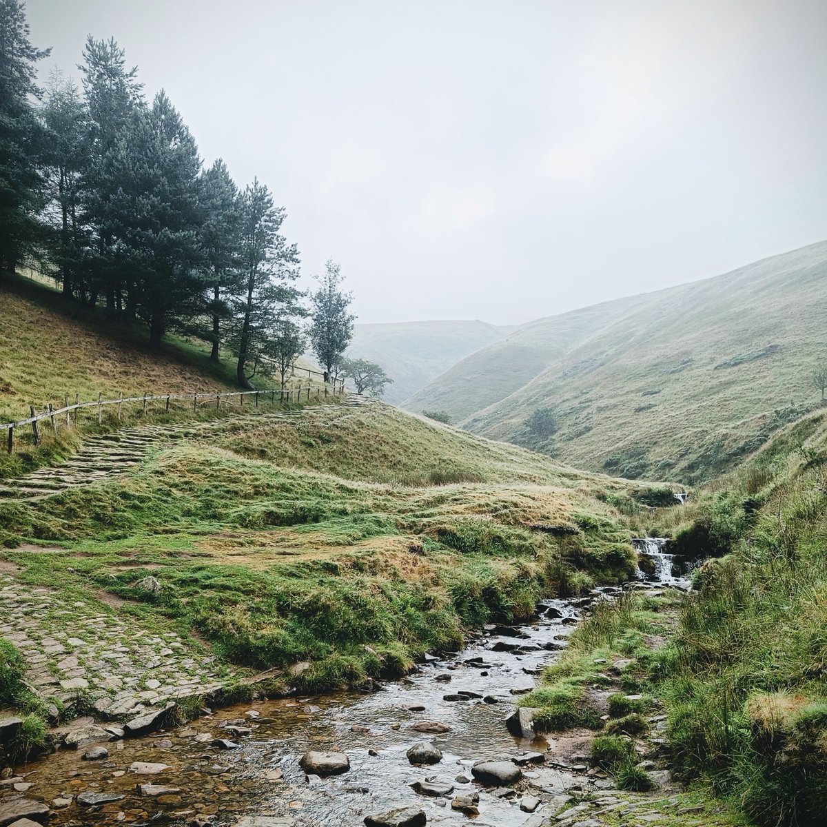 MartiansGame's tweet image. Some shots from a very wet and very foggy hike today!