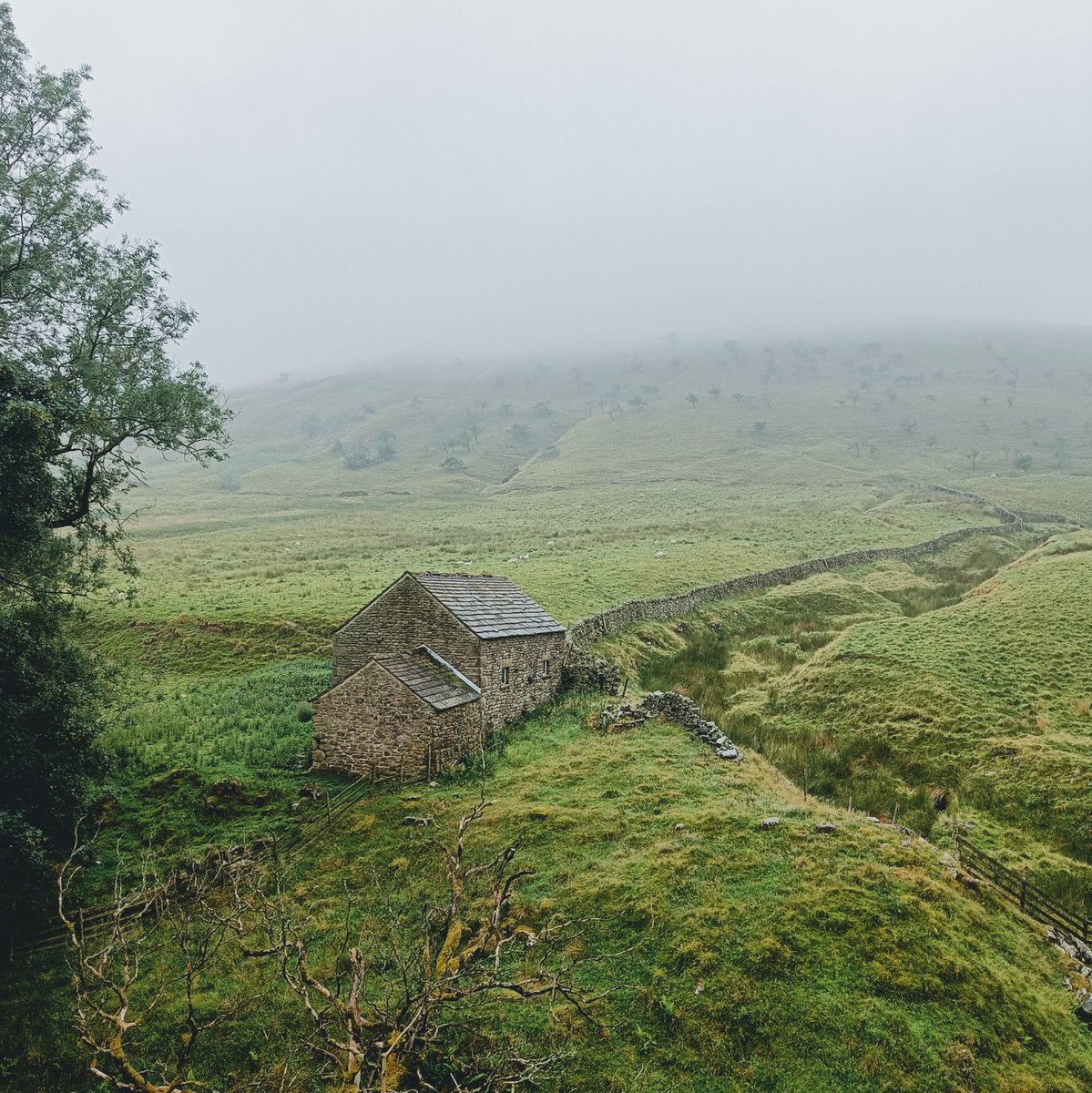 MartiansGame's tweet image. Some shots from a very wet and very foggy hike today!