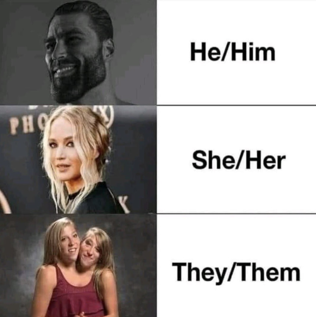 Anti Woke Memes tweet media