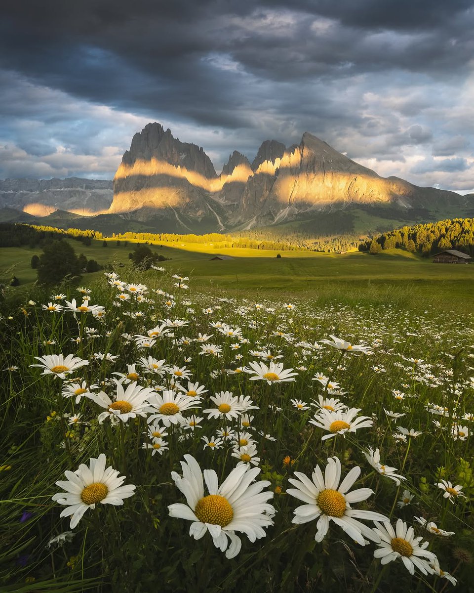 gillescolibri's tweet photo. Dolomites UNESCO https://t.co/0Zul9lKdlp