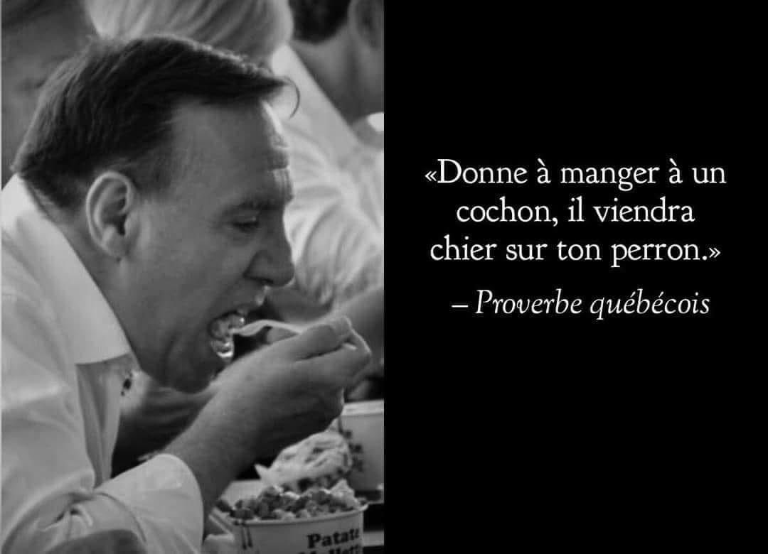donna_197's tweet photo. Le gros porc 🐽 du Québec! 👇🏼 https://t.co/AxnhQk0P8H