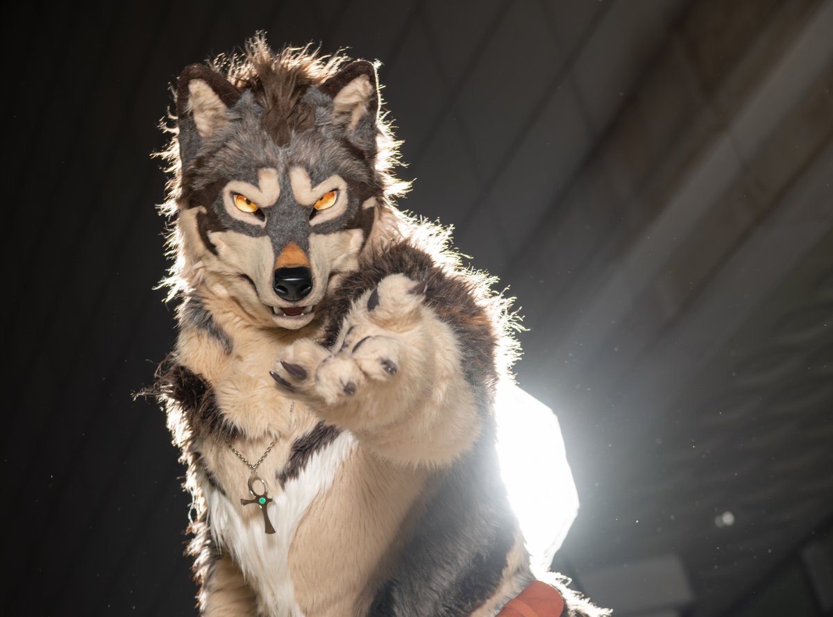 MinelodyWolf's tweet image. Here, let me take the lead.

📸: @lowdelight
🪡: @BeastFantasia

#FursuitFriday 
#Furstclass #Furstclass2025